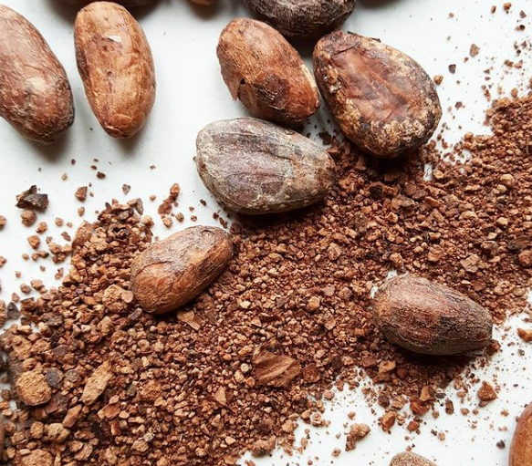 Brewing Cacao from Ecuador, showcasing raw cacao beans and ground cacao from Camino Verde.