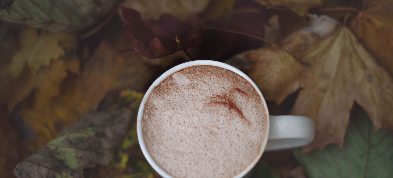 A warm cup of organic hot chocolate surrounded by autumn leaves.