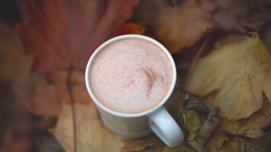 Organic Hot Chocolate in a white mug surrounded by autumn leaves, showcasing a cozy seasonal vibe.