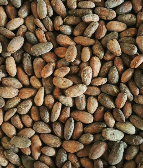 Close up of a pile of Philippine Cacao Chocolate Tea